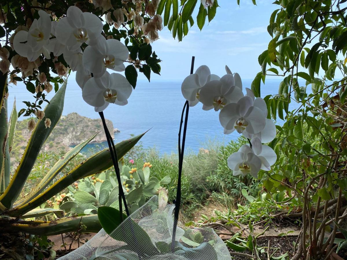 Villa Don Mimi Guarnaschelli La Dependace Taormina Exterior foto